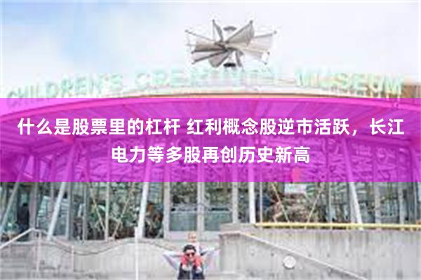 什么是股票里的杠杆 红利概念股逆市活跃，长江电力等多股再创历史新高