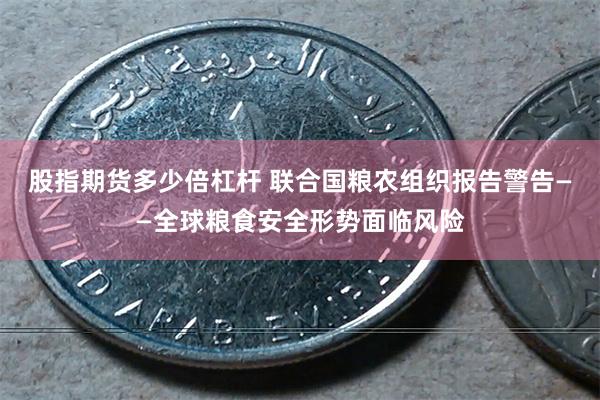 股指期货多少倍杠杆 联合国粮农组织报告警告——全球粮食安全形势面临风险