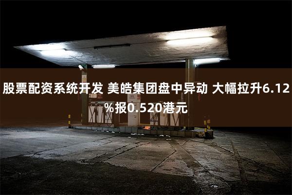 股票配资系统开发 美皓集团盘中异动 大幅拉升6.12%报0.520港元