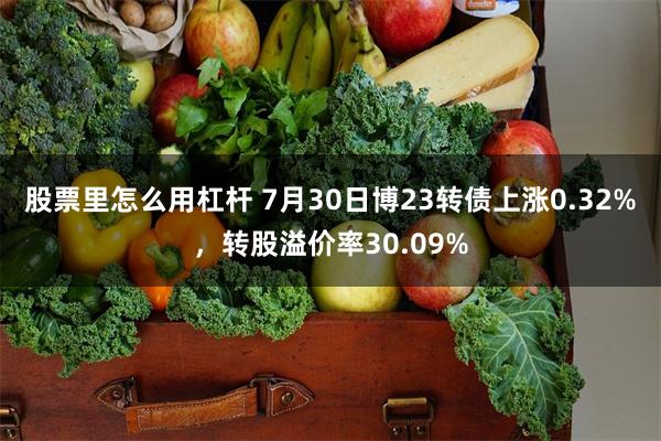 股票里怎么用杠杆 7月30日博23转债上涨0.32%，转股溢价率30.09%