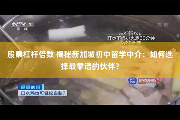 股票杠杆倍数 揭秘新加坡初中留学中介：如何选择最靠谱的伙伴？