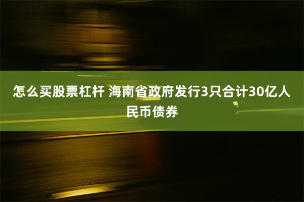 怎么买股票杠杆 海南省政府发行3只合计30亿人民币债券