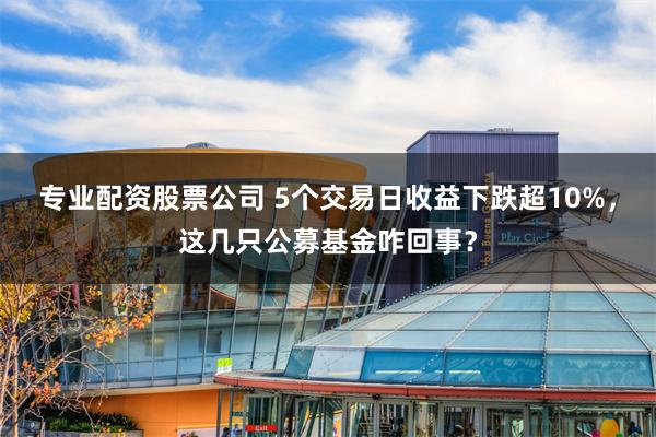 专业配资股票公司 5个交易日收益下跌超10%，这几只公募基金咋回事？