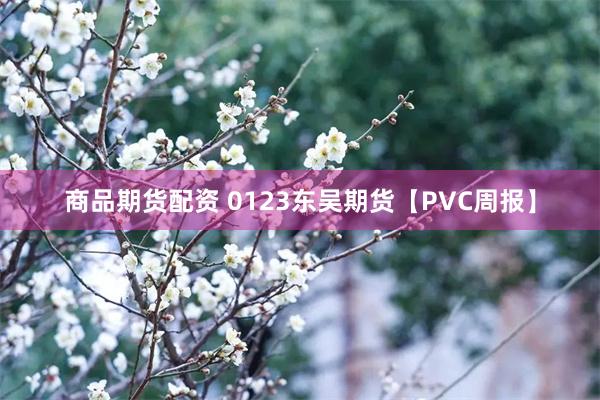 商品期货配资 0123东吴期货【PVC周报】