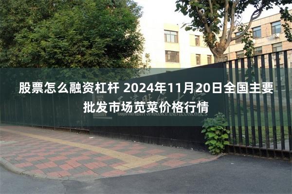 股票怎么融资杠杆 2024年11月20日全国主要批发市场苋菜价格行情