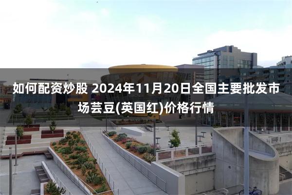 如何配资炒股 2024年11月20日全国主要批发市场芸豆(英国红)价格行情