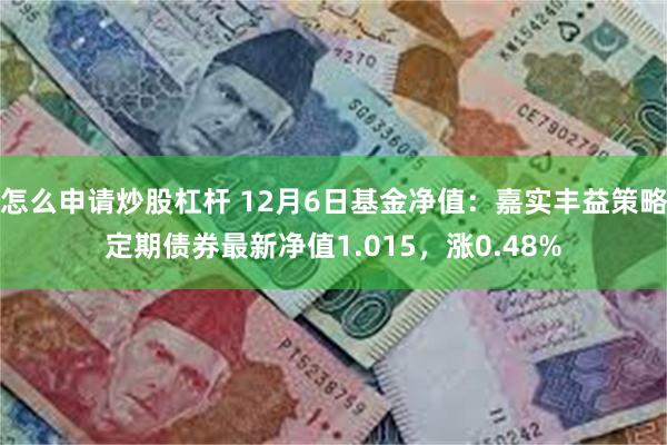 怎么申请炒股杠杆 12月6日基金净值：嘉实丰益策略定期债券最新净值1.015，涨0.48%