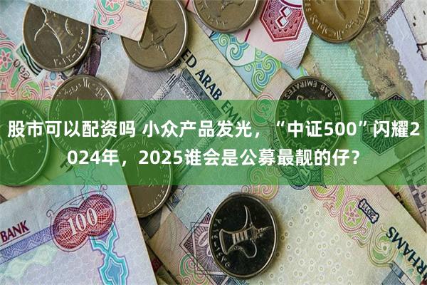 股市可以配资吗 小众产品发光，“中证500”闪耀2024年，2025谁会是公募最靓的仔？