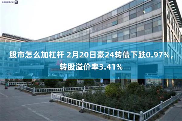 股市怎么加杠杆 2月20日豪24转债下跌0.97%，转股溢价率3.41%