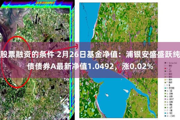 股票融资的条件 2月26日基金净值：浦银安盛盛跃纯债债券A最新净值1.0492，涨0.02%