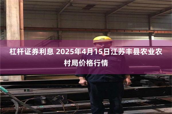 杠杆证券利息 2025年4月15日江苏丰县农业农村局价格行情